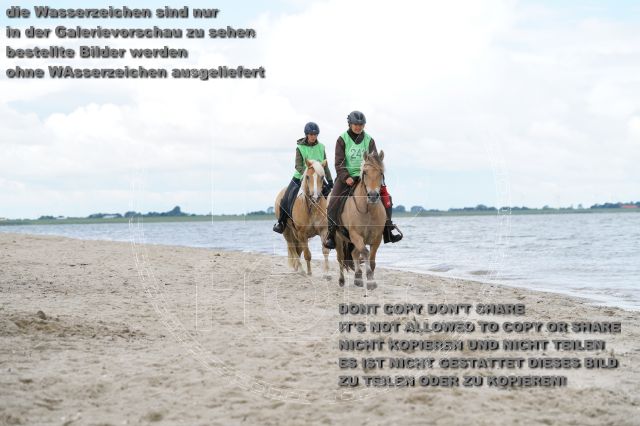 s_K3F05005.JPG
